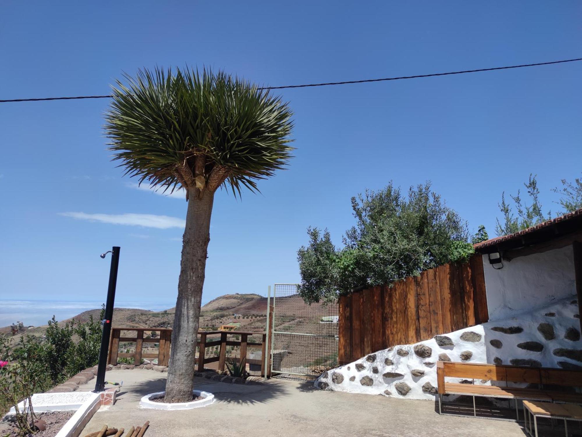 Finca Cho Rafael Gáldar 外观 照片
